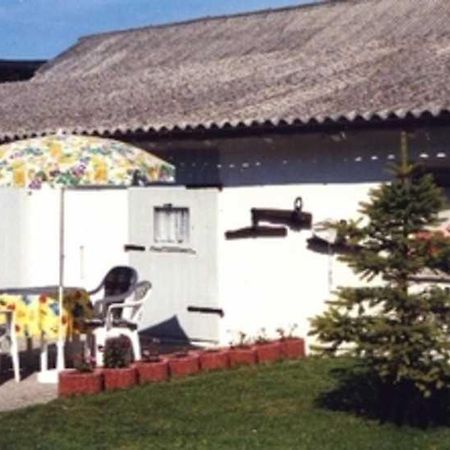 Ferienwohnung Krueger Zirchow Buitenkant foto